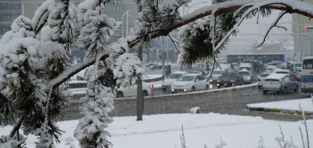 Долоо хоногийн сүүлчээр цас орно